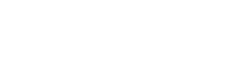 Logo Footer